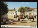  CPM anime neuve Chypre La vie campagnarde Anes