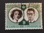 Belgique 1960 - Y&T 1169 obl.