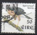 IRLANDE N 1062 o Y&T 1998 Oiseau (Epervier)