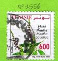 TUNISIE YT N1556 OBLIT
