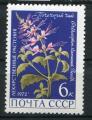 Timbre Russie & URSS 1972  Neuf **  N 3820  Y&T  Fleurs