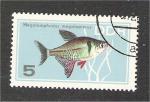 German Democratic Republic - Scott 865  fish / peche