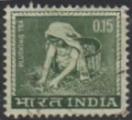Inde 1965 - Cueillette du th  - YT 193 
