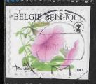 Belgique - Y&T n 3702 - Oblitr / Used - 2007