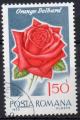 ROUMANIE N 2557 o Y&T 1970 Roses (Orange Delbard)