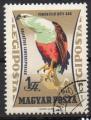 HONGRIE N PA 254 o Y&T 1962 Oiseaux de proie (Aigle Pcheur)