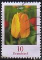Allemagne/Germany 2005 - Fleur/Flower : tulip(e) - YT 2309 