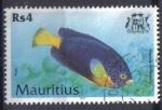 Ile MAURICE 2000 - YT 950 - Blue Mauritius Angelfish -  Centropyge debelius