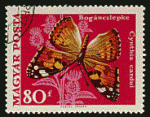 Hongrie 1969 - YT 2036 - oblitr - papillon belle dame
