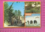 CPM  TUNISIE, GABES : 3 vues 