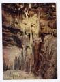 Carte Postale Moderne non crite Lot 46 - Les Grottes de Lacave, les lustres