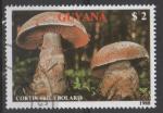 GUYANA N 2079 o Y&T 1989 Champignons (Cortinarius bolaris)