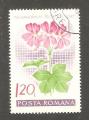 Romania - Scott 2024   flower / fleur