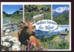 CPM 73 Meilleurs Souvenir des Alpes Multi vues  Vaches