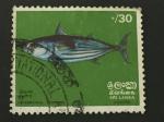 Sri Lanka 1972 - Y&T 448 obl.
