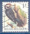 Belgique N2349 Pic peichette oblitr