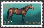 EUPL - 1975 - Yvert n 2221 - talon arabe (Equus ferus caballus)