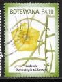Botswana -  Y&T n 1070 - Oblitr / Used - 2011