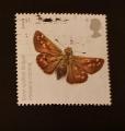 GB 2008 INSECTS 1st Silver-spotted Skipper YT 3016