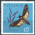 Pologne - 1962 - Y & T n 1147 - MNH (3