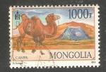 Mongolia - Michel 3781   camel / chameau