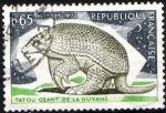 1819 - Tatou gant de Guyane - Oblitr - anne 1974