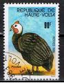 Haute Volta / 1981 / Pintade / YT n° 566, oblitéré