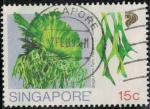 Singapour 1990 Plante Platycerium Coronarium espce piphyte fougre Y&T SG 594 