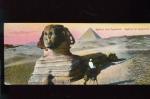 CPA non crite anime Egypte Sphinx et Pyramide (Format 150X6 cm)