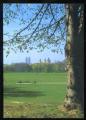 CPM Allemagne MNCHEN Blick vom Englischen Garten auf Dom und Theatinerkirche