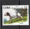 Timbre Cuba / Oblitr / 1976 / Y&T N? / Chien - English Pointer.
