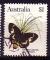 Australie 1983  Y&T  834  oblitr     papillon
